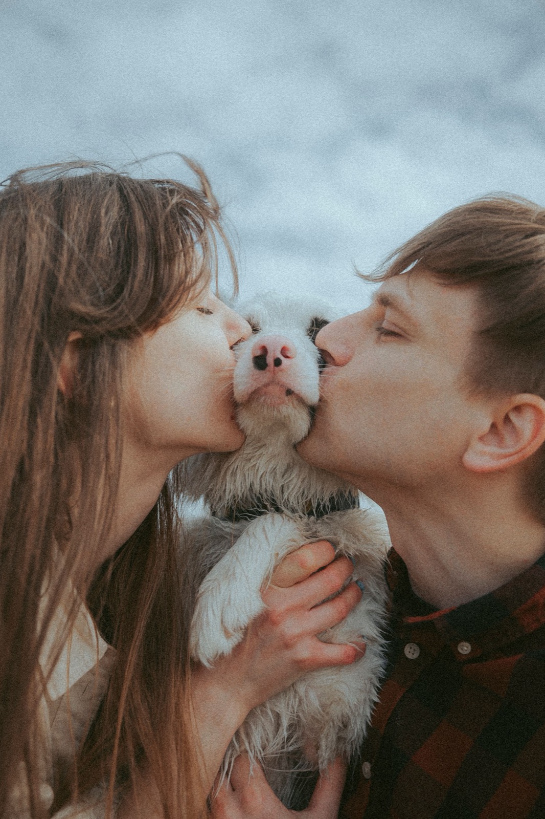 Man and woman kissing a small white terrier