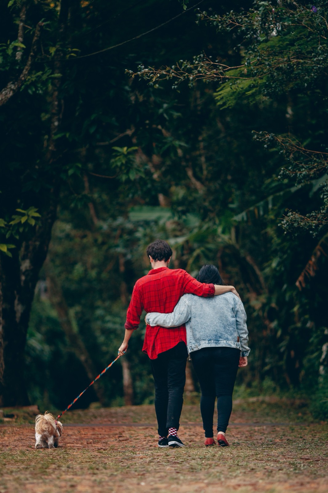 Couple walking a small dog on a wooded path