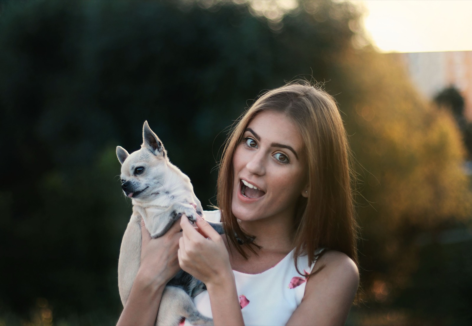 Woman outdoors holding a cream Chihuahua